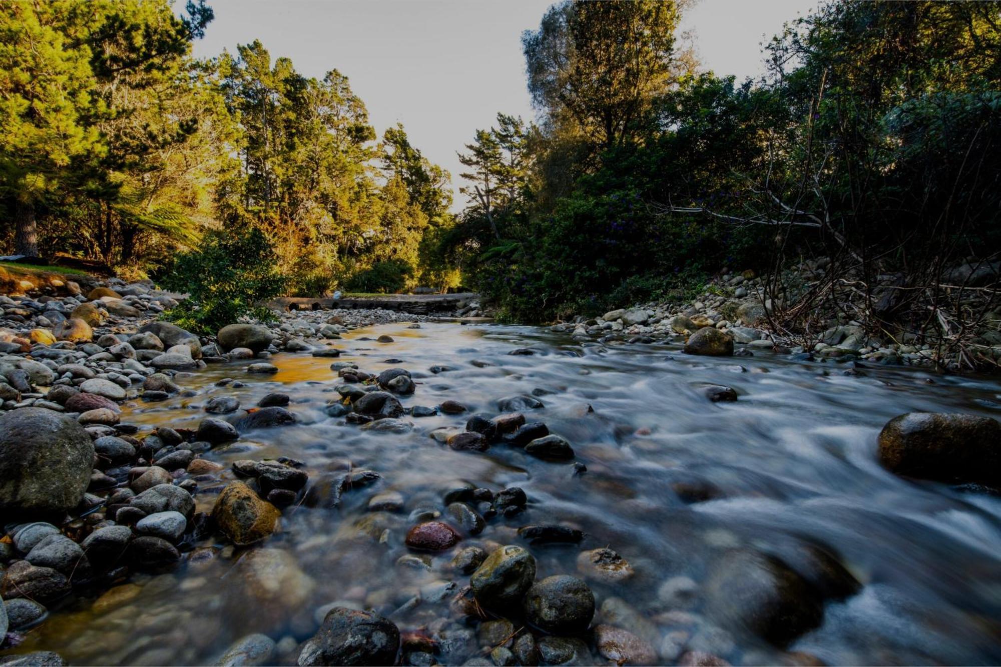Sapphire Springs Holiday Park And Thermal Pools Katikati Exteriér fotografie