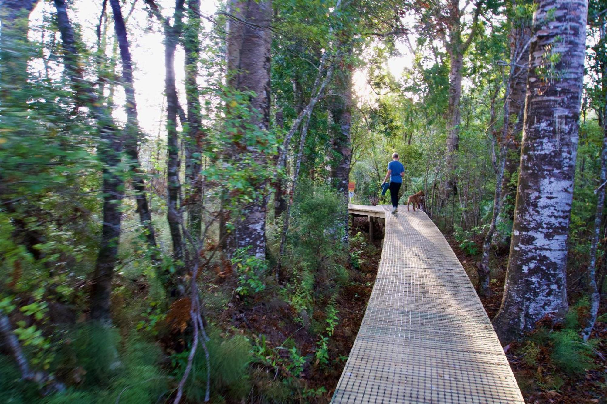 Sapphire Springs Holiday Park And Thermal Pools Katikati Exteriér fotografie